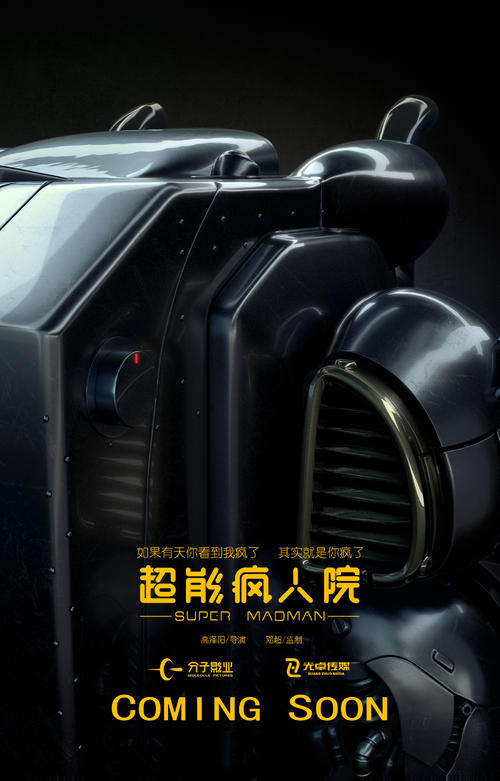 马斯特里赫特戏剧艺术学院商科文凭证书